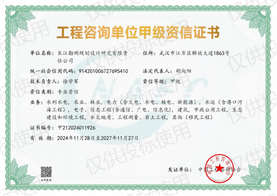 《工程咨询单位资格证书》（原件扫描件）