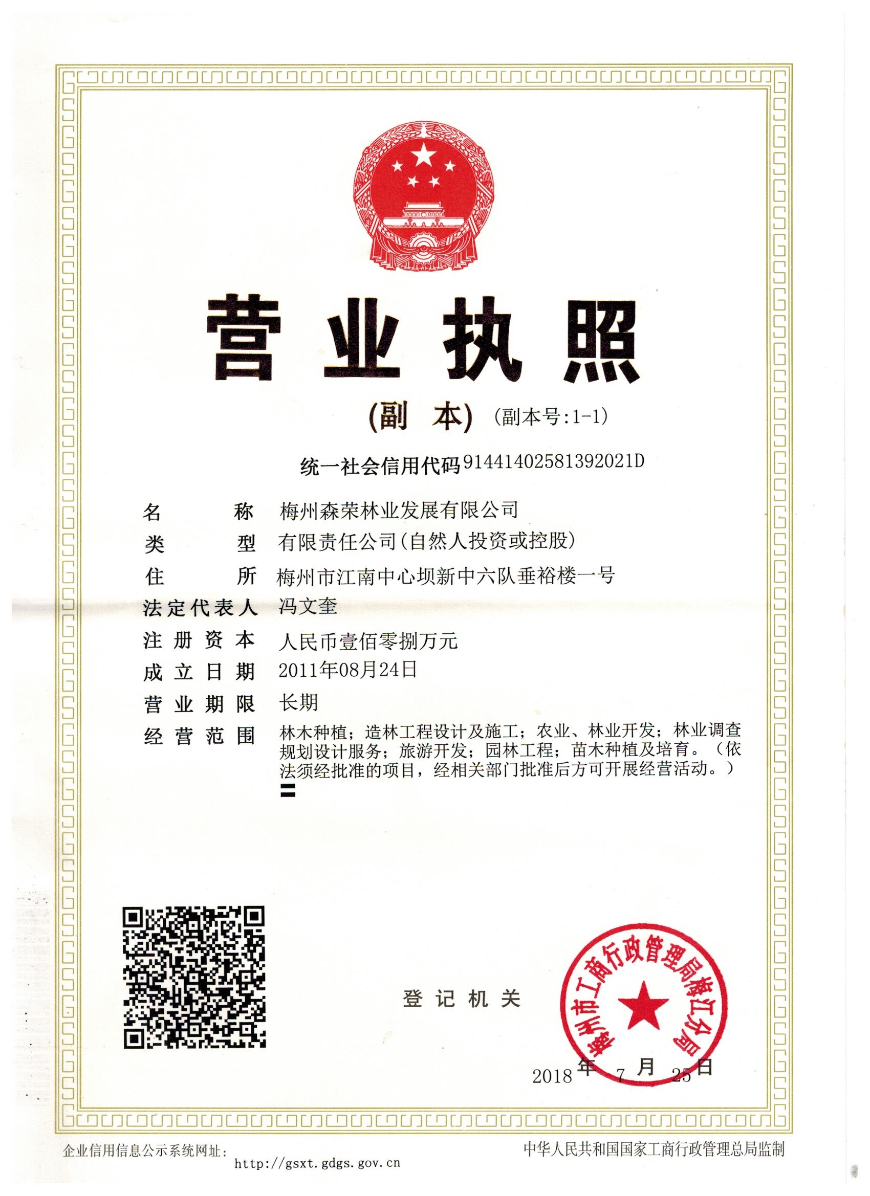 加载统一社会信用代码的营业执照（属社会组织的提供社会团体法人登记证或民办非企业单位法人登记证，属事业单位的提供法人登记证）