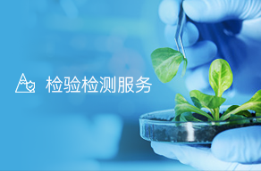 深圳市龙华区创新实验学校附属幼儿园