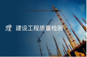 云浮市政府投资建设项目代建服务中心