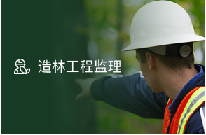 信宜市北界镇人民政府